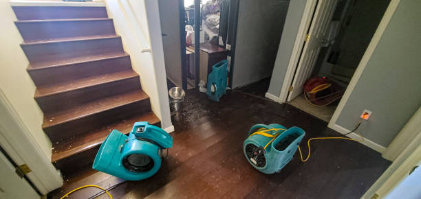 Best Ceiling water damage repair  in Independence, WI