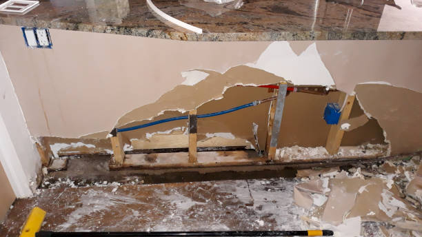 Best Carpet water damage restoration  in Independence, WI
