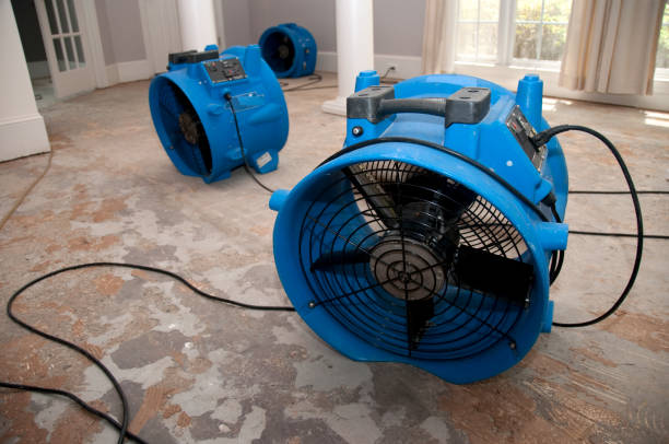 Best Water damage restoration near me  in Independence, WI
