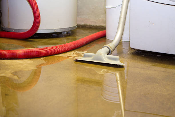 Best 24-hour water damage restoration  in Independence, WI
