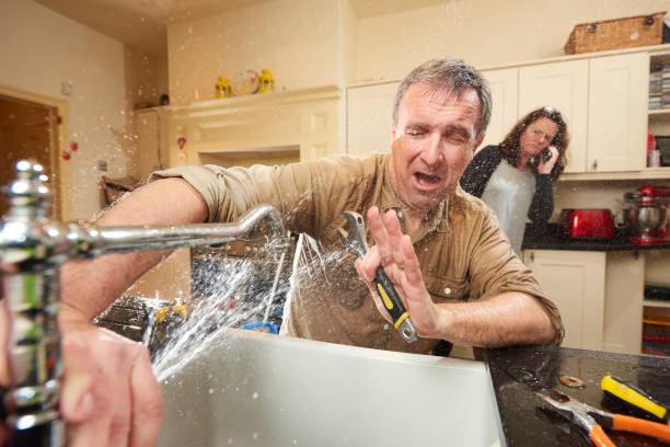 Best Flood damage cleanup  in Independence, WI